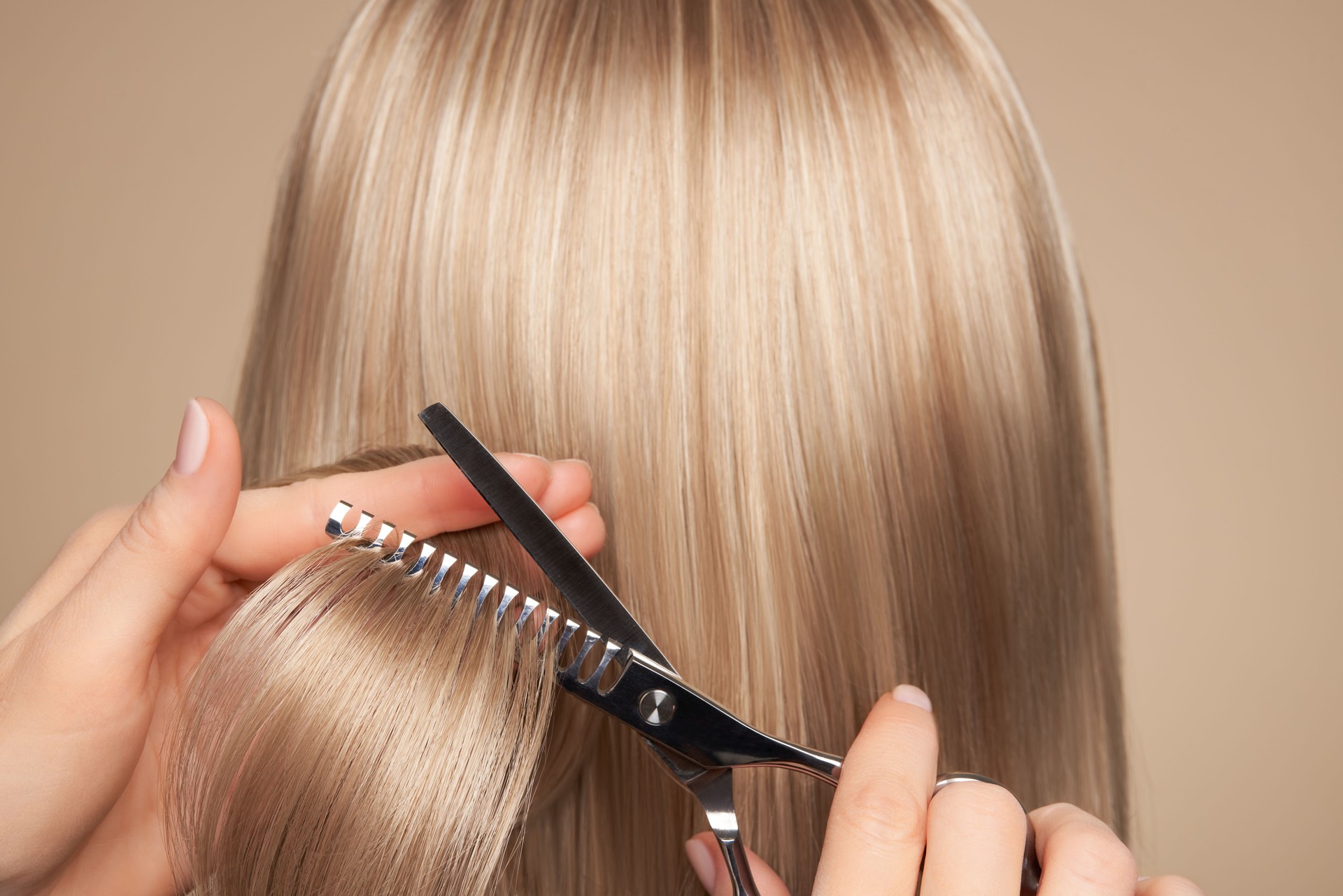 Hairdresser cuts long blonde hair with scissors